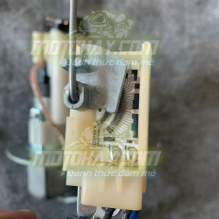 phao-xăng-z800-chinh-hang