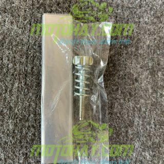 oc-chinh-garanti-z1000