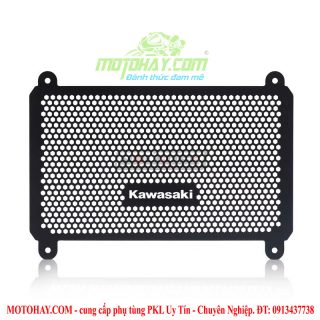 che-ket-nuoc-z400-ninja400