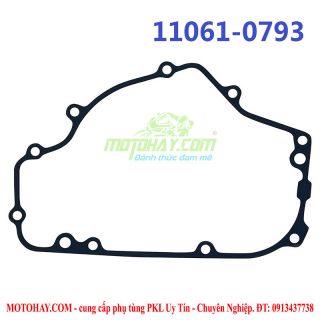 gioang-buong-dien-z300-ninja300