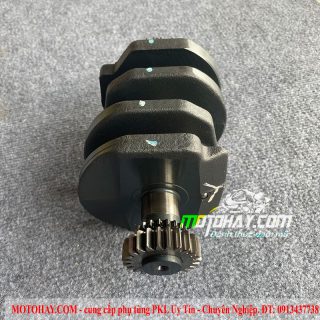 truc-co-z300-ninja300