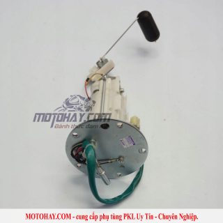 bom-xang-z900-chinh-hang